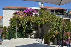 Family friendly apartments with a swimming pool Sutivan, Brac - 14737